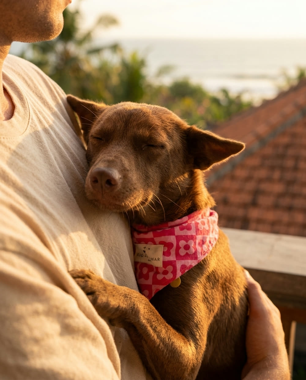 Lola abrazada por su dueña al atardecer